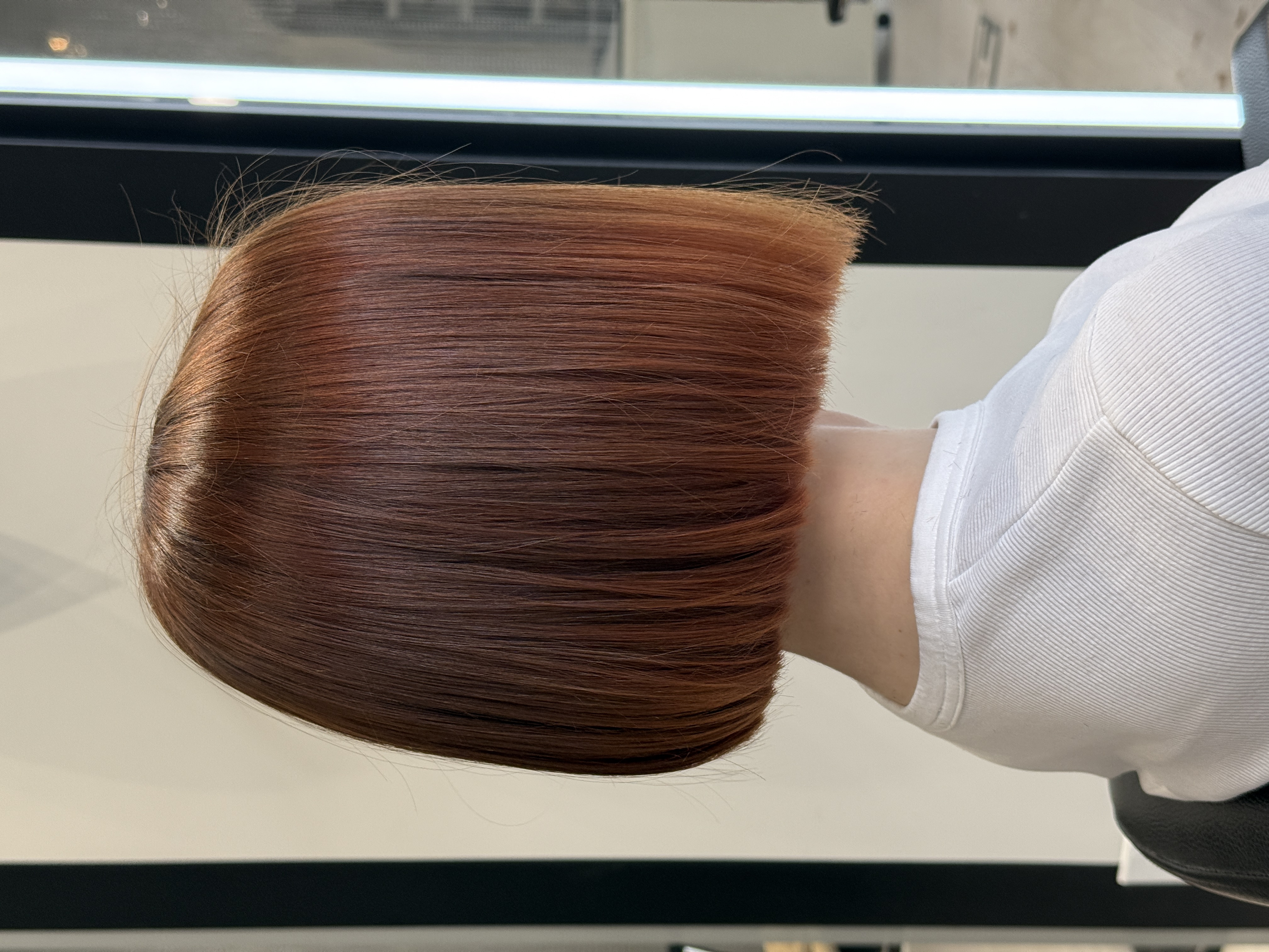 She Is Art studio Brunette AirTouch coloring result